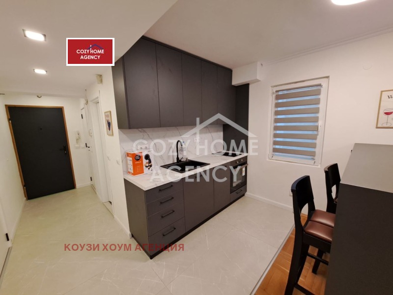 Дава под наем 2-СТАЕН, гр. София, Център, снимка 9 - Апартаменти - 53082937