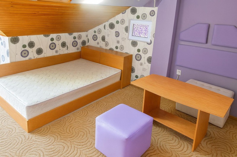De inchiriat  Studio Plovdiv , Țentâr , 25 mp | 98707366 - imagine [3]