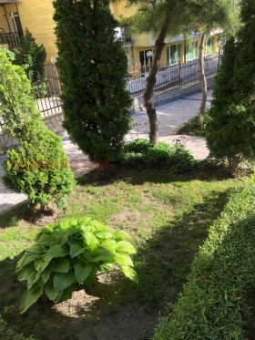 1 soverom k.k. Elenite, region Burgas 15