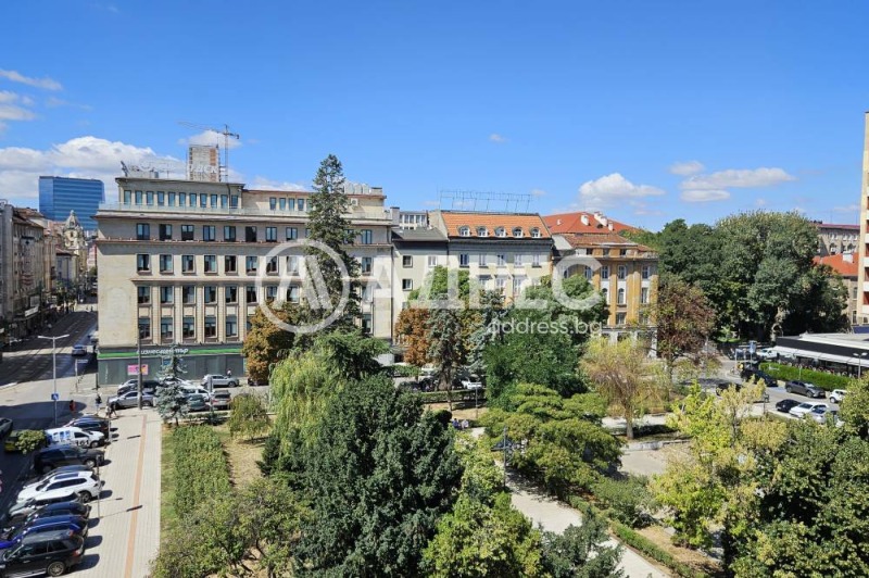 Издаје се  Канцеларија Софија , Центар , 98 м2 | 23906990 - слика [9]