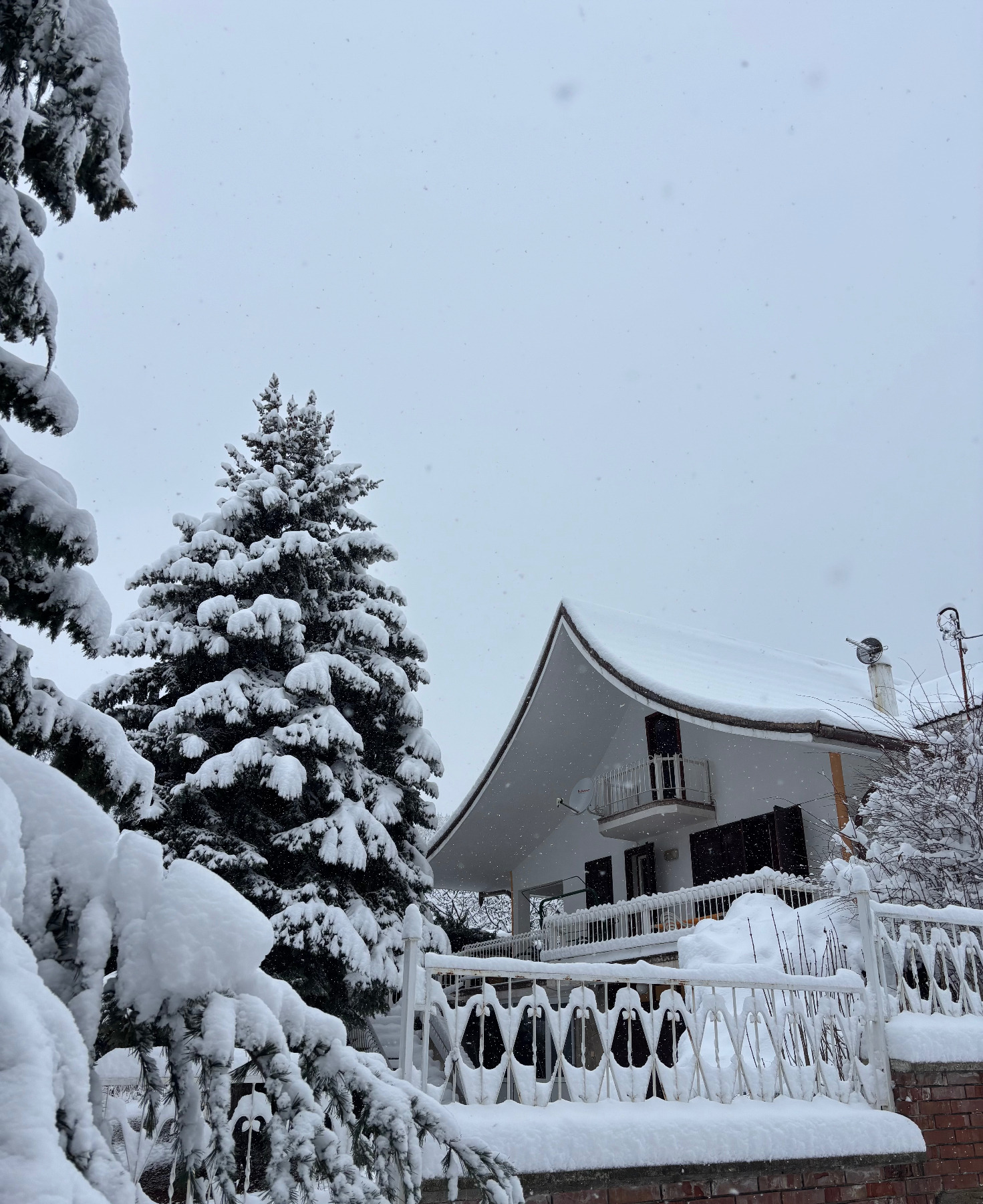 ���� ��� ���� ���� | Imot.bg � ����������� 6