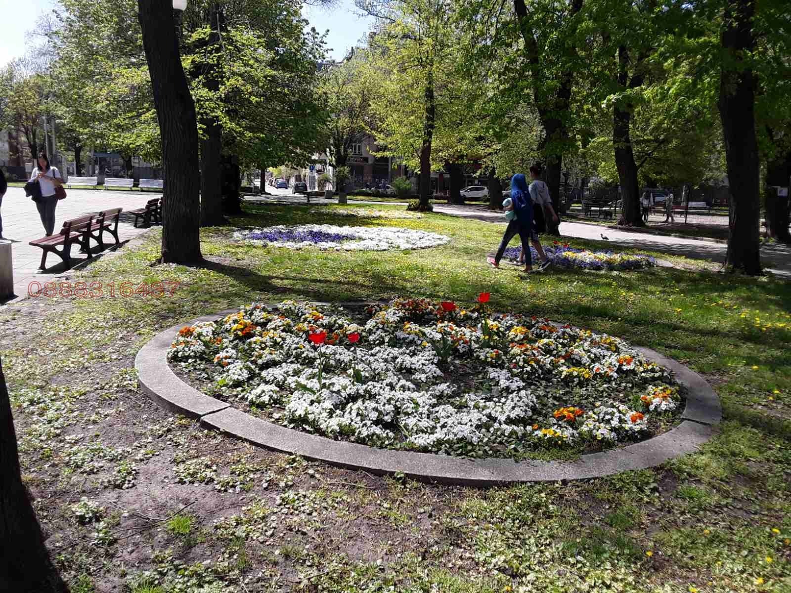 Дава под наем 3-СТАЕН, гр. София, Център, снимка 5 - Апартаменти - 53802468