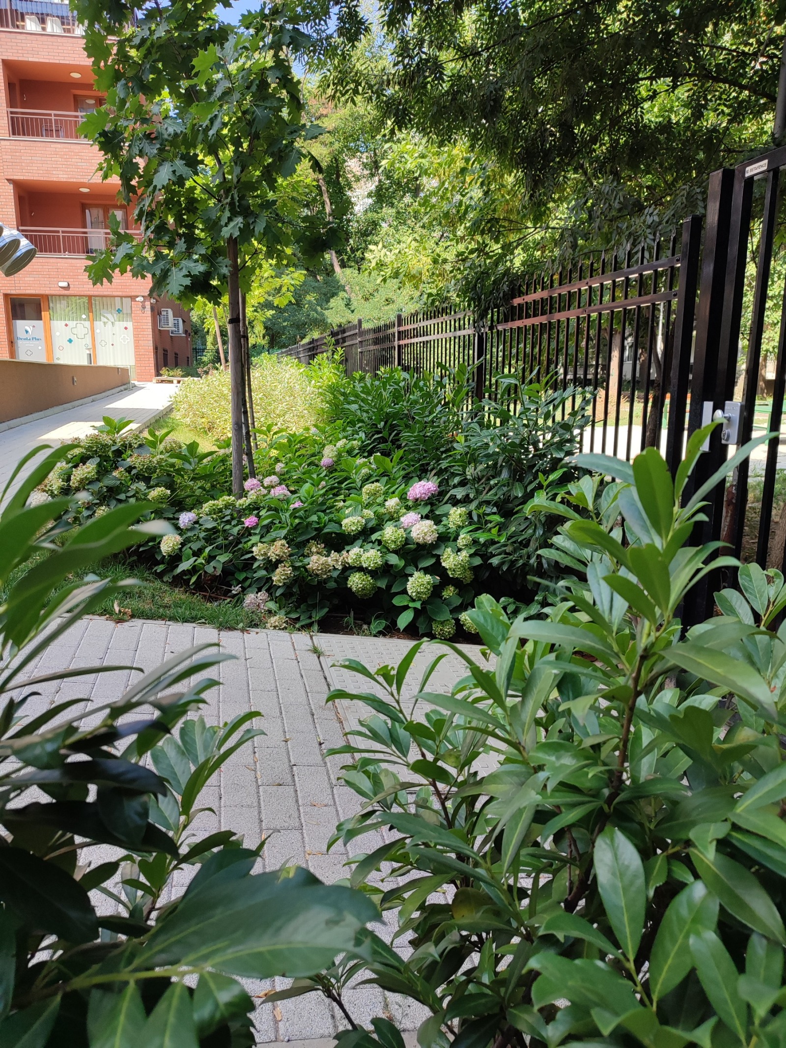 ���� ��� ���� 3-����� | Imot.bg � ����������� 11