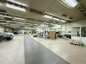 ����� ���� ��� ���� �����,���� ������ �������, ���������� ���� - �����