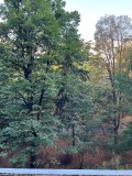 Под наем 2-СТАЕН, град София, Борово • 950 лв. • 23156750 — Holmes.bg