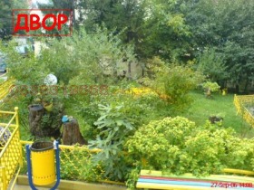 ����� ���� ��� ���� ����,���� �����, �������