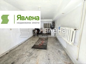 ����� ���� ��� ���� �����,���� �����, �����