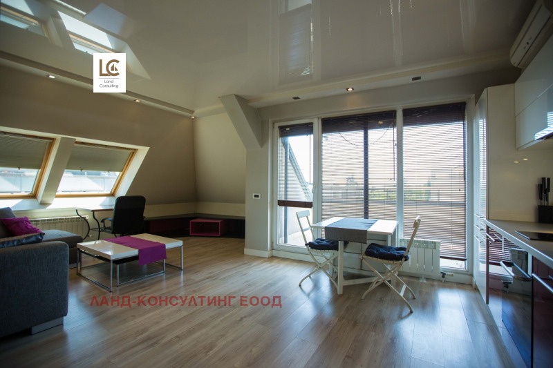 Дава под наем 2-СТАЕН, гр. София, Драгалевци, снимка 2 - Апартаменти - 52876100