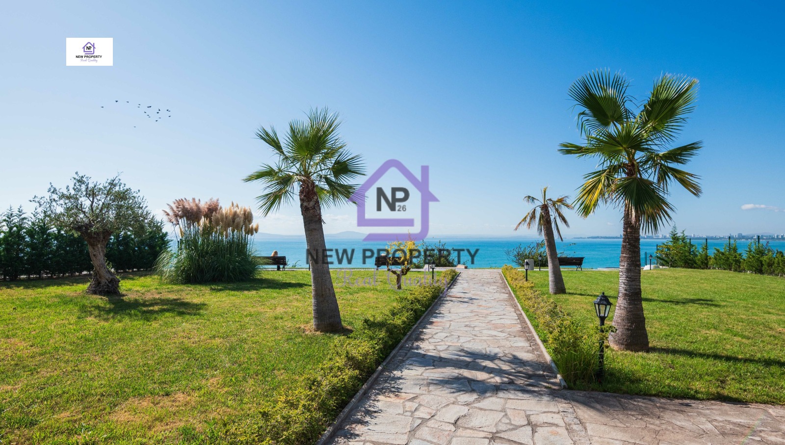 ���� ��� ���� 2-����� | Imot.bg � ����������� 17