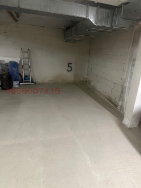 ����� ���� ��� ���� ����������,���� �����, ������