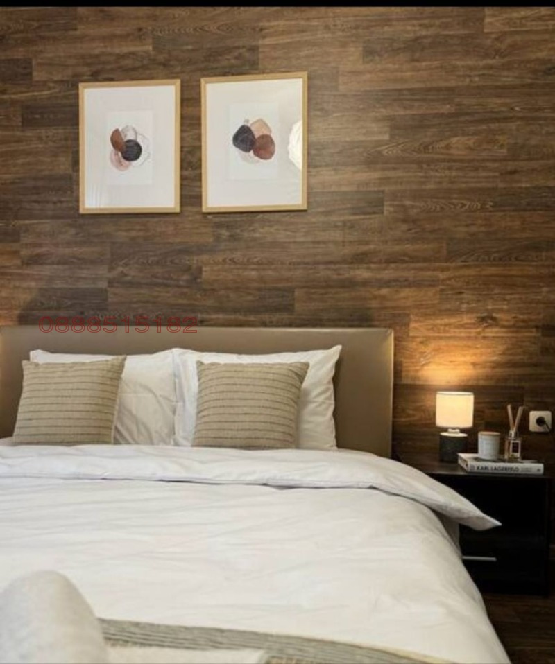 Дава под наем 2-СТАЕН, гр. Пловдив, Център, снимка 8 - Апартаменти - 52781272