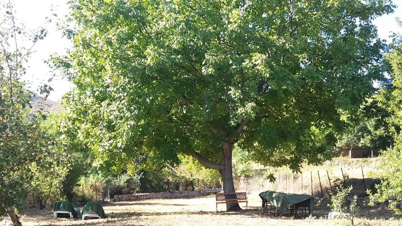 ���� ��� ���� ���� | Imot.bg � ����������� 6