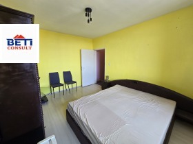 СТАЯ, 20 m2