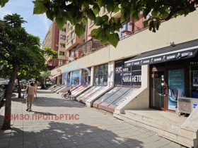 Κατάστημα Δρυζβα 2, Σοφηια