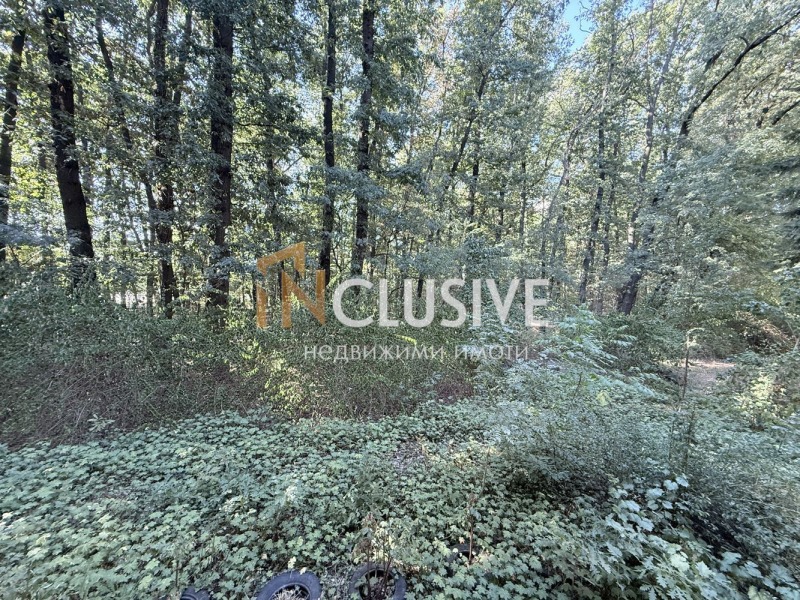 Дава под наем 3-СТАЕН, гр. София, Лозенец, снимка 7 - Апартаменти - 52948500