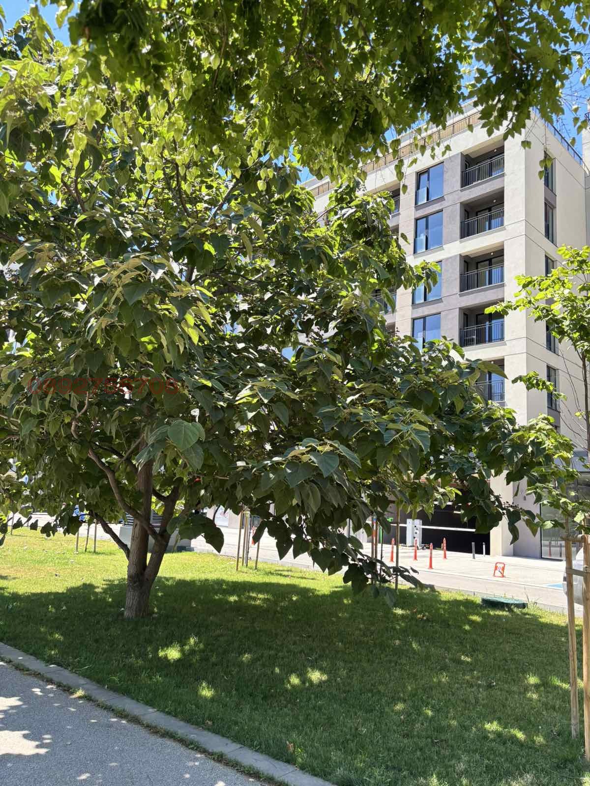 ���� ��� ���� 2-����� | Imot.bg � ����������� 2