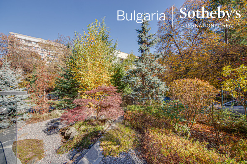 De inchiriat  Magazin Sofia , Iztoc , 483 mp | 85608404 - imagine [8]