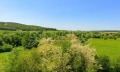 Под наем 1-СТАЕН, област Варна, с. Шкорпиловци • 190 € / 371.61 лв. • 98930386 9