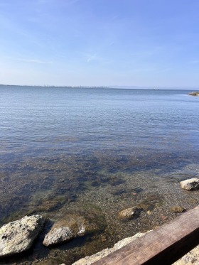 ����� ���� ��� ���� �����,���� ������, �-�� ������� �����