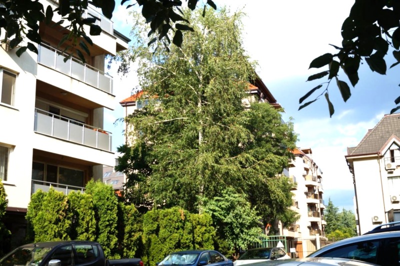 Kiralık  1 yatak odası Sofia , Manastirski livadi , 90 metrekare | 16996028 - görüntü [17]