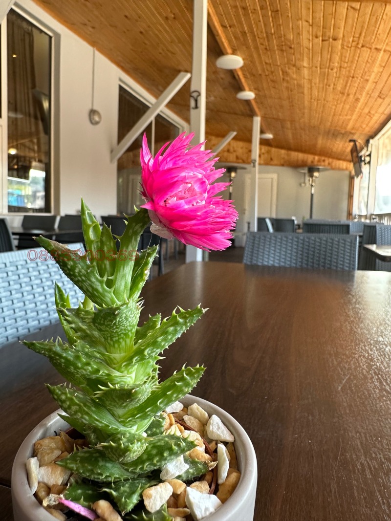 For Rent  Bar, Coffee shop Sofia , Zaharna fabrika , 200 sq.m | 47681111 - image [13]