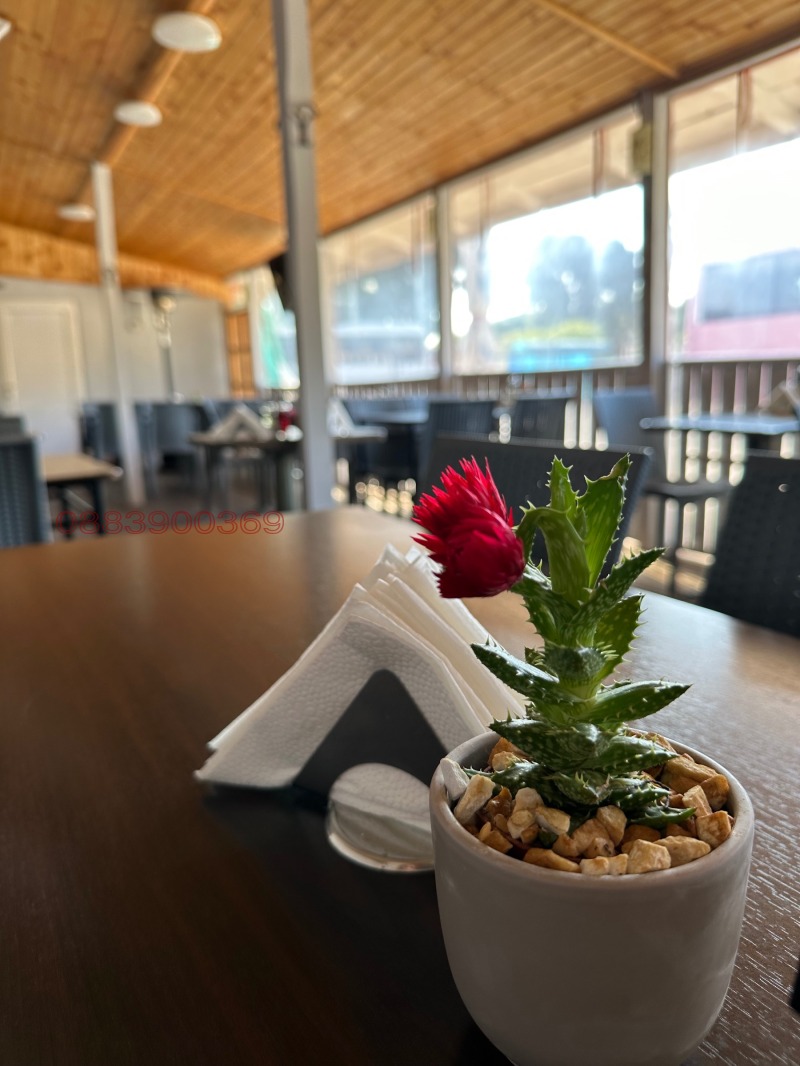 For Rent  Bar, Coffee shop Sofia , Zaharna fabrika , 200 sq.m | 47681111 - image [12]