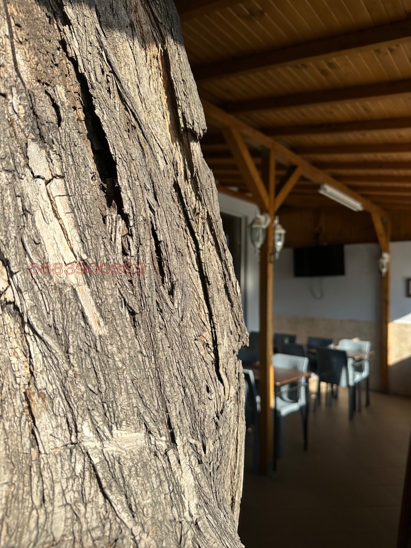 For Rent  Bar, Coffee shop Sofia , Zaharna fabrika , 200 sq.m | 47681111 - image [9]