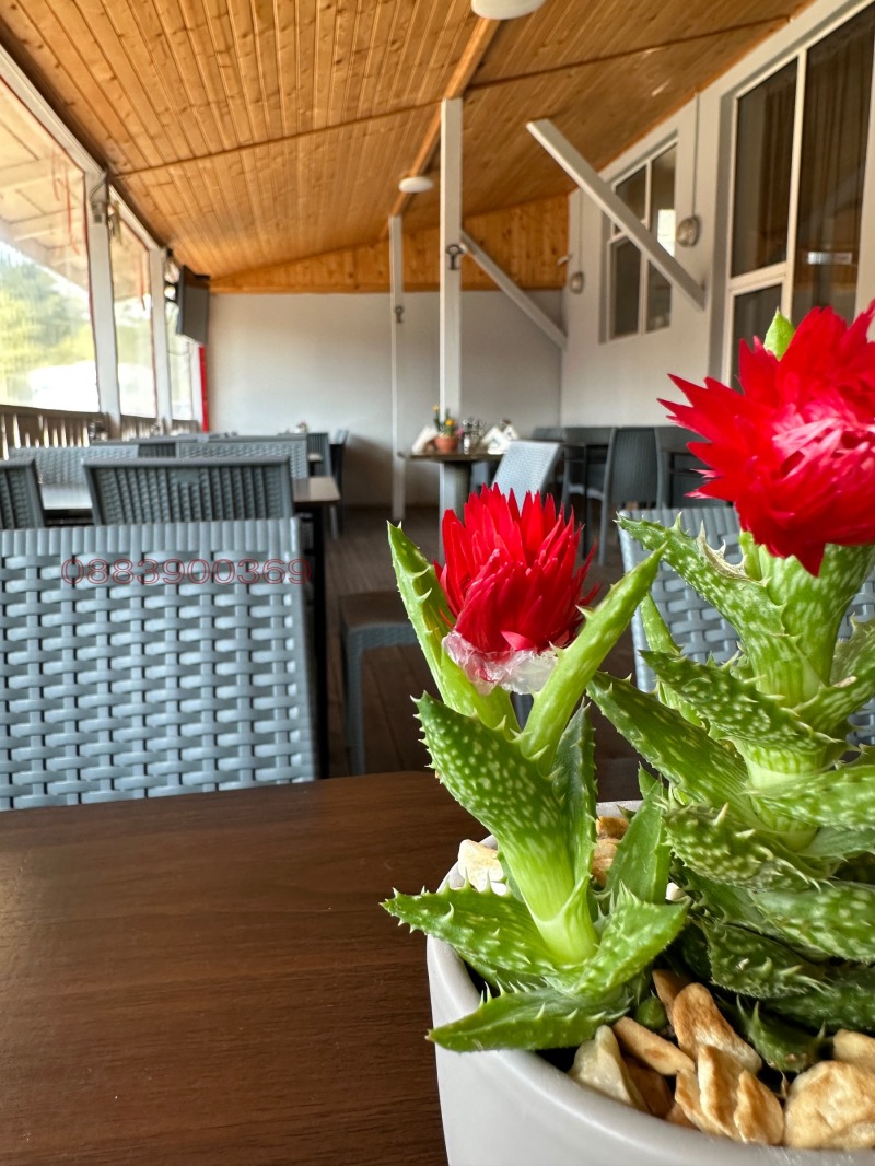 For Rent  Bar, Coffee shop Sofia , Zaharna fabrika , 200 sq.m | 47681111 - image [11]