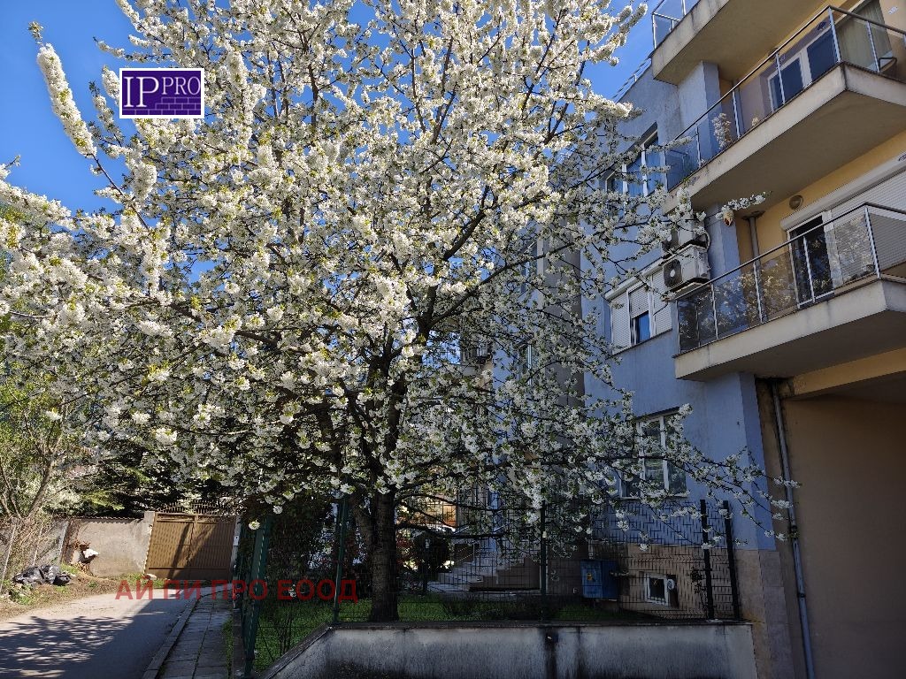 ���� ��� ���� 2-����� | Imot.bg � ����������� 4