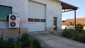 ������ ���� ��� ���� �����