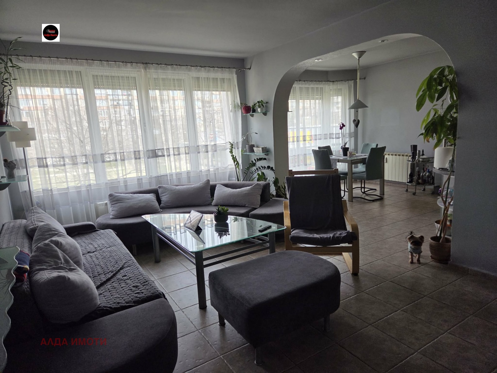 ���� ��� ���� 4-����� | Imot.bg � ����������� 1