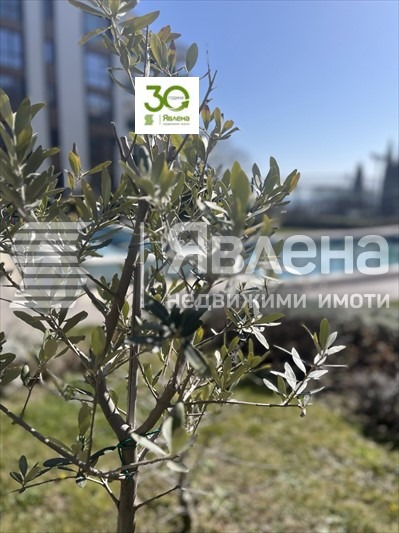 ���� ��� ���� 2-����� | Imot.bg � ����������� 11