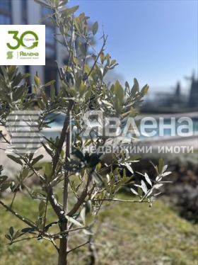 ���� ��� ���� 2-����� | Imot.bg � ����� ������ 11