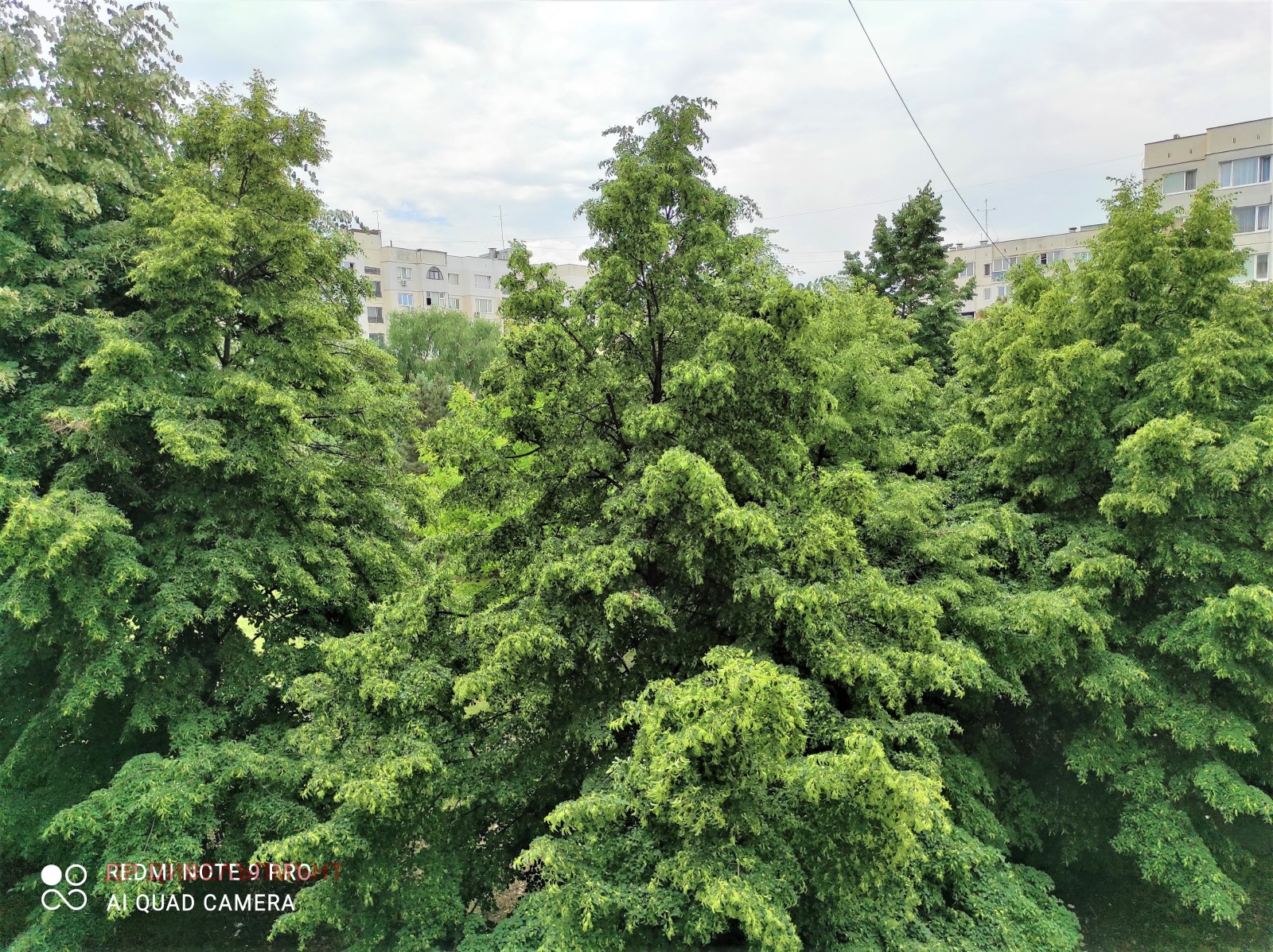 ���� ��� ���� 2-����� | Imot.bg � ����������� 17