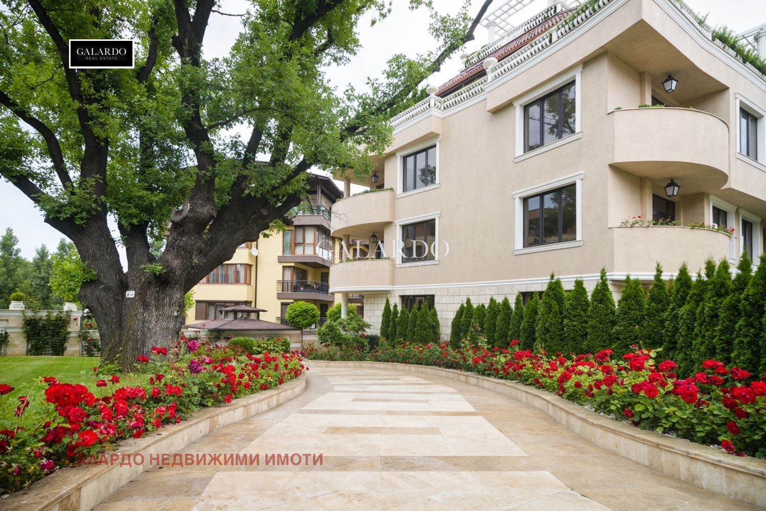 ���� ��� ���� 3-����� | Imot.bg � ����������� 14