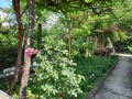 Дава под наем КЪЩА, гр. София, с. Кокаляне, снимка 13