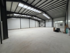 ����� ���� ��� ���� �����,���� �������, ������������ ���� - �����