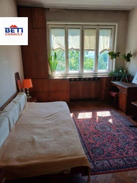 СТАЯ, 20 m2