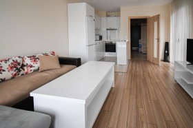 1 bedroom Vitosha, Sofia