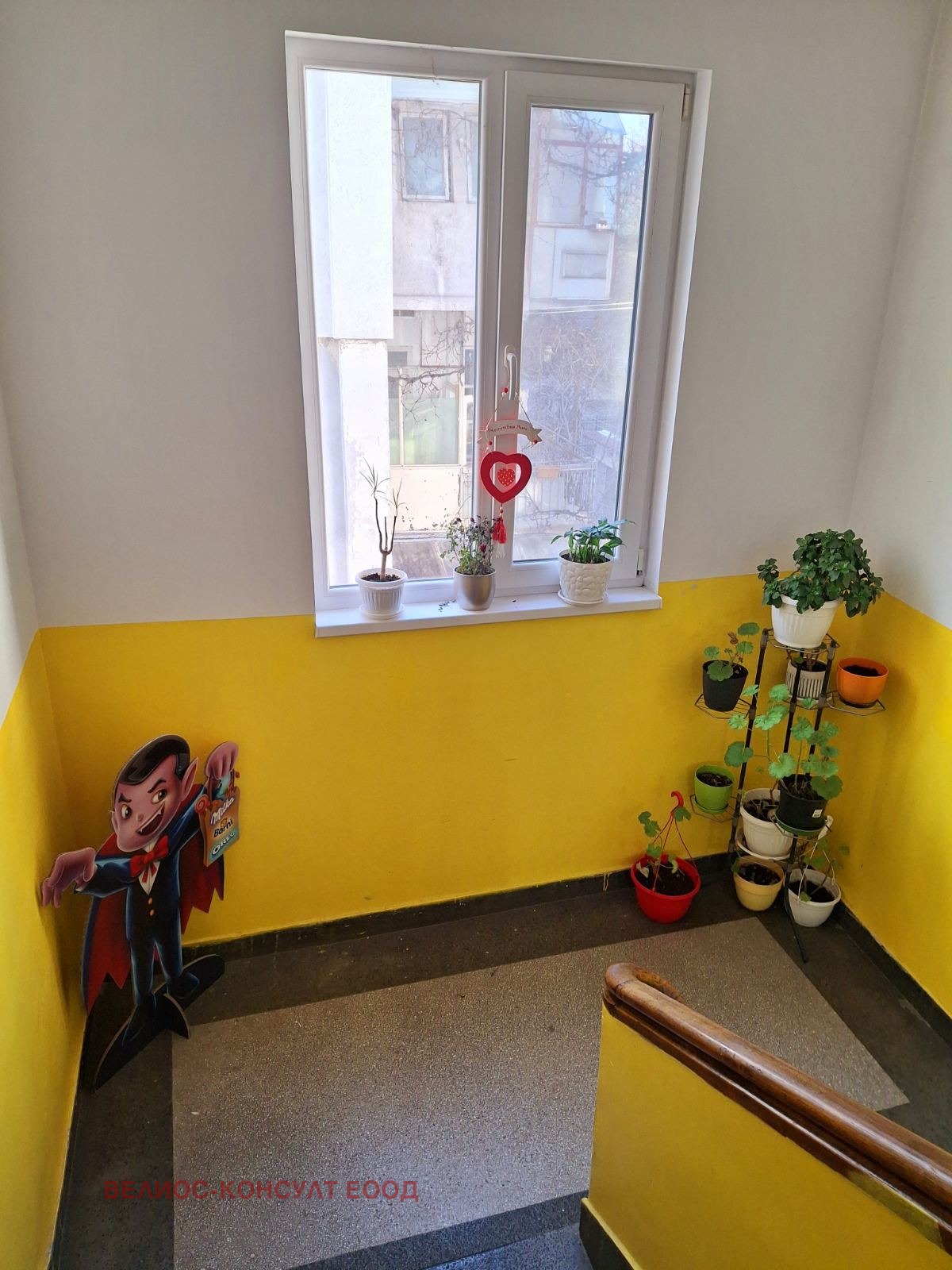 ���� ��� ���� 3-����� | Imot.bg � ����������� 10