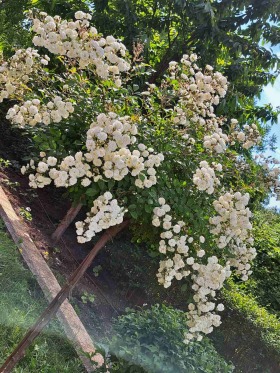 ���� ��� ���� ���� | Imot.bg � ����� ������ 10