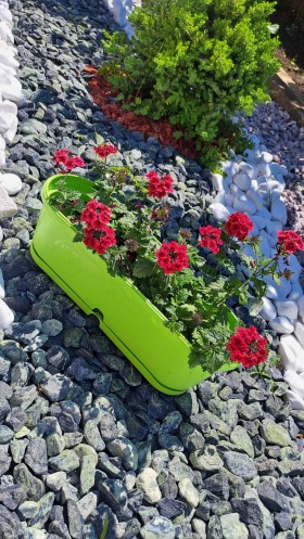 ���� ��� ���� ���� | Imot.bg � ����� ������ 11