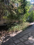 Дава под наем 3-СТАЕН, гр. София, Докторски паметник, снимка 7