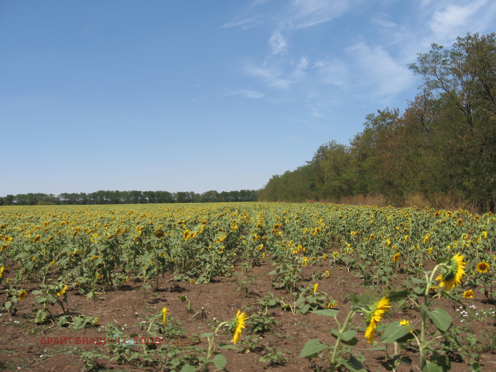 ���� ��� ���� ����� | Imot.bg � ����������� 8