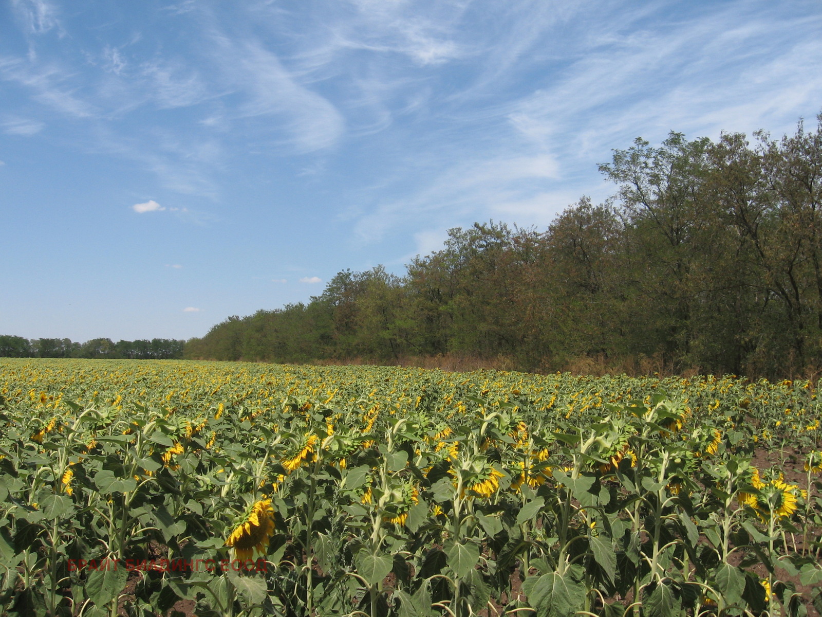 ���� ��� ���� ����� | Imot.bg � ����������� 2