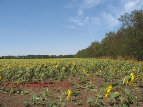 ���� ��� ���� ����� | Imot.bg � ����� ������ 8