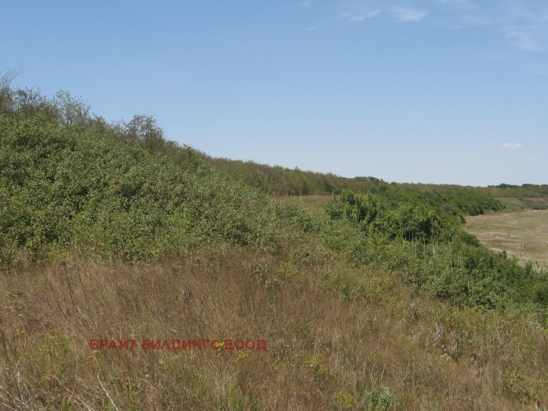 Дава под наем МЯСТО, с. Дуранкулак, област Добрич, снимка 6 - Парцели - 53594654