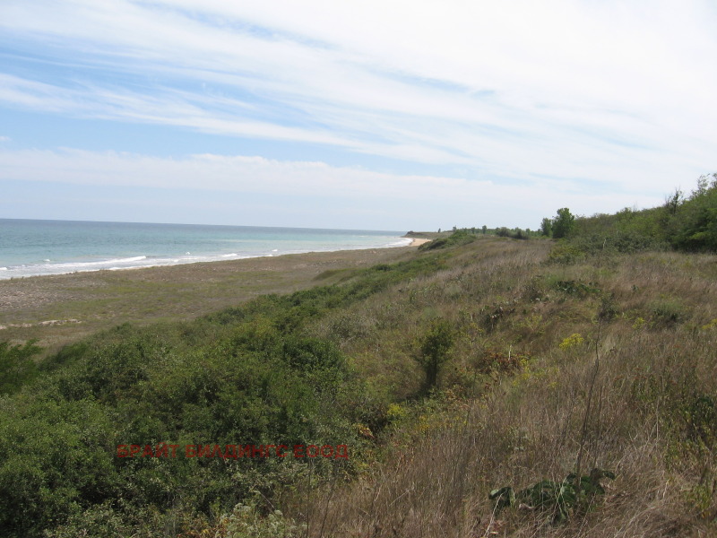 Дава под наем МЯСТО, с. Дуранкулак, област Добрич, снимка 4 - Парцели - 53594654