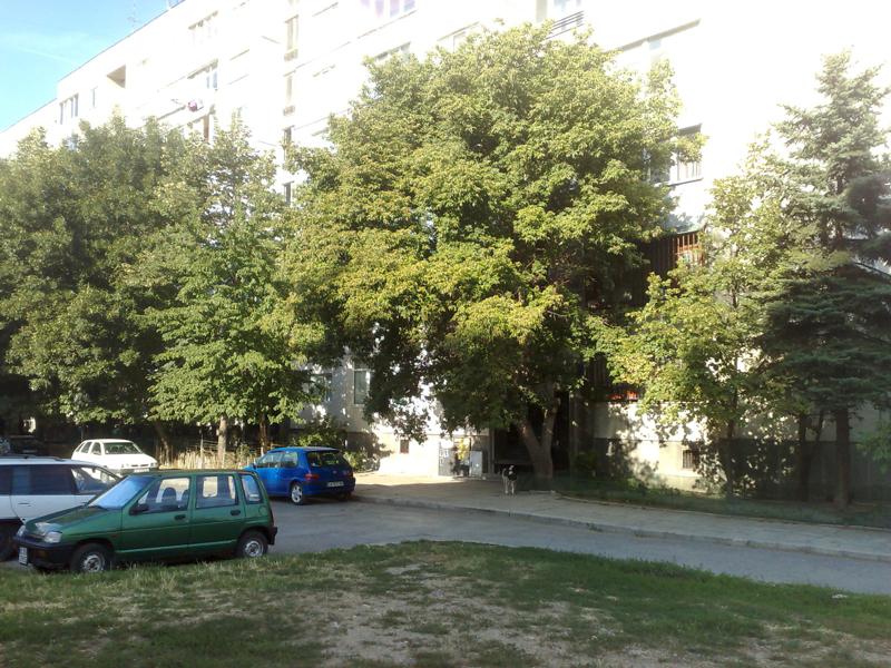 Дава под наем 1-СТАЕН, гр. София, Слатина