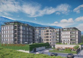 ����� ���� ��� ���� 3-�����,���� �����, �������� ����